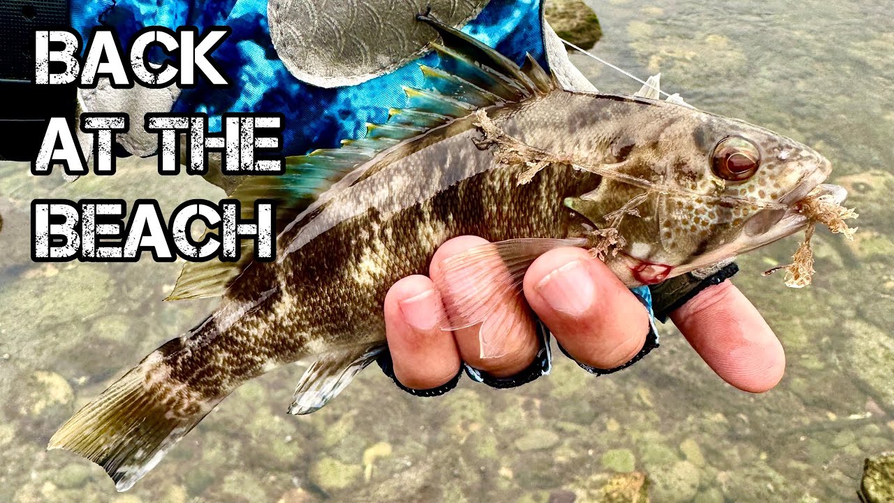 FISHING DURING RED TIDE