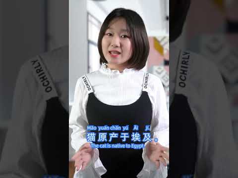 为什么十二生肖没有猫? Why is the cat not a zodiac?