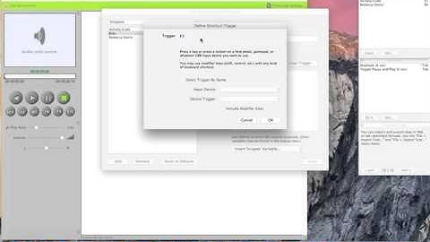 RS Inqscribe Tutorial