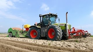 Planting potatoes using a 380 HP Claas Xerion 3800 & Miedema CP42 cup planter | NIVU Achthuizen