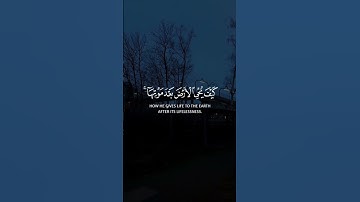 تلاوة خاشعة للشيخ ياسر الدوسري سورة الروم🥺🎧
