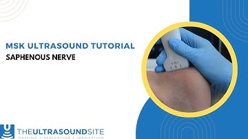 Ultrasound identification of the saphenous nerve on the lower leg