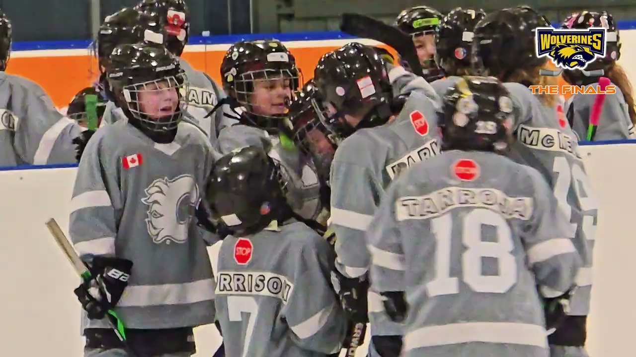 Wolverines The Final Game #Wolverines ##hockey ##hockeygame #canada 