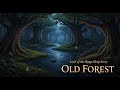 The Old Forest and the Withy Windle Deep Within | Lord of the Rings Sleep Story