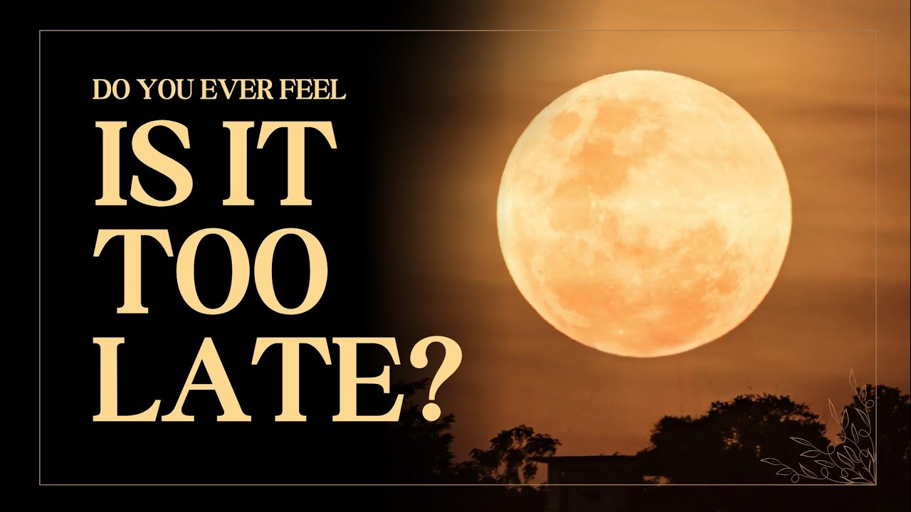 You Are Not Too Late , You Are Right On Time!