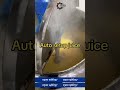 Auto Juice Setup Machine | Complete Juice Business Solution | by sajid saban wala
