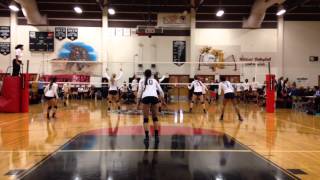IMG 0379