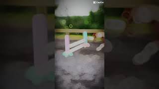 Jumping bareback with no hands over a jump