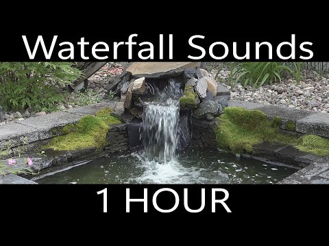 Garden Pond Ambience, Waterfall Sound Effect 1 HOUR