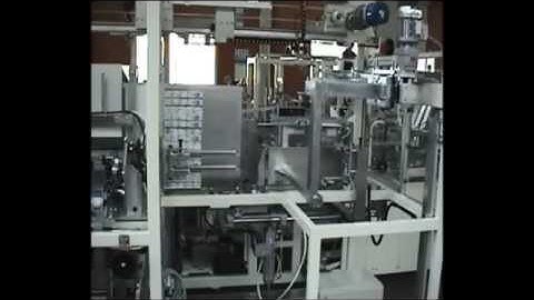 HORIZONTAL CASE PACKER |  Case Packer | Machine