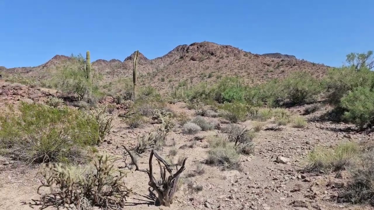 Gold Mining Claim For Sale - Quartzite Arizona - 20 acre Placer Mining Claim - BCP-10