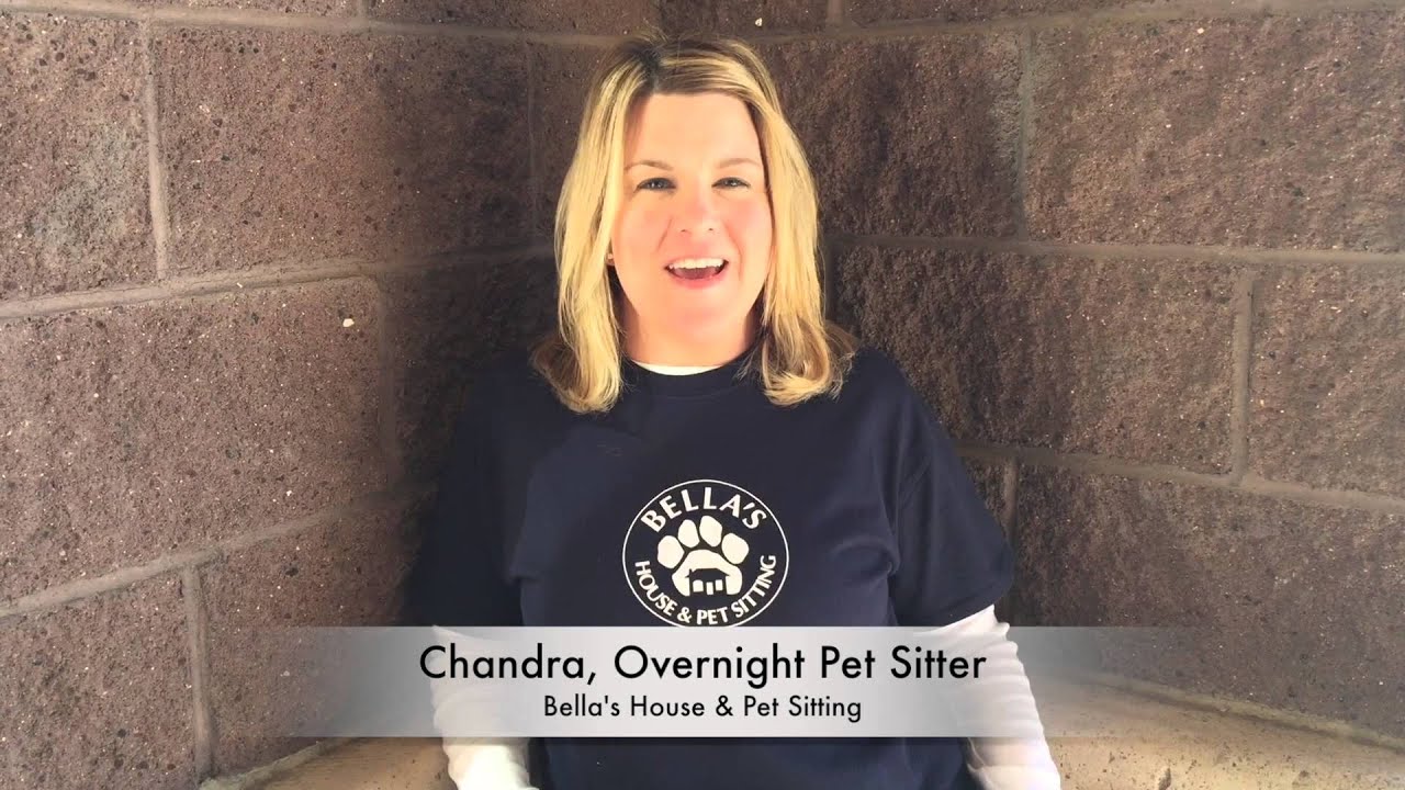 Overnight Pet Sitter for Bella's House & Pet Sitting Scottsdale, YouTube