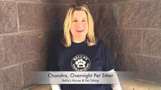 Overnight Pet Sitter for Bella's House & Pet Sitting Scottsdale,