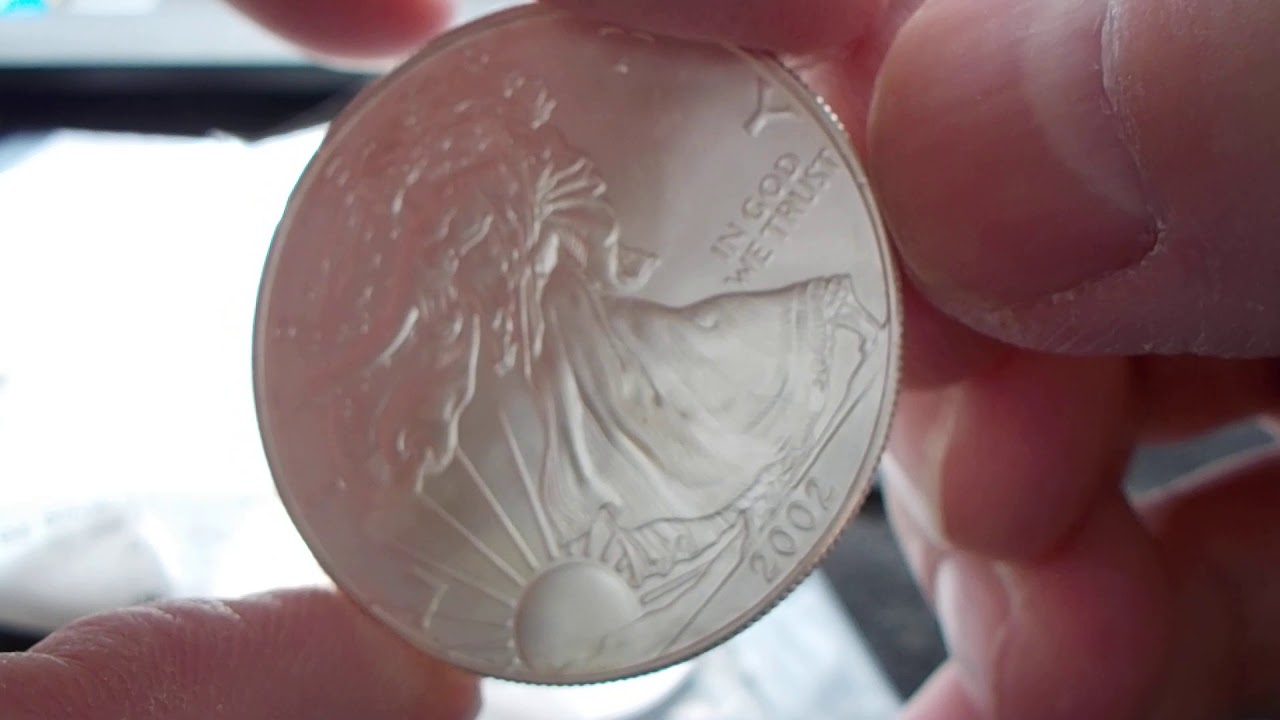 Cull Silver Eagles...  Are they worth it?