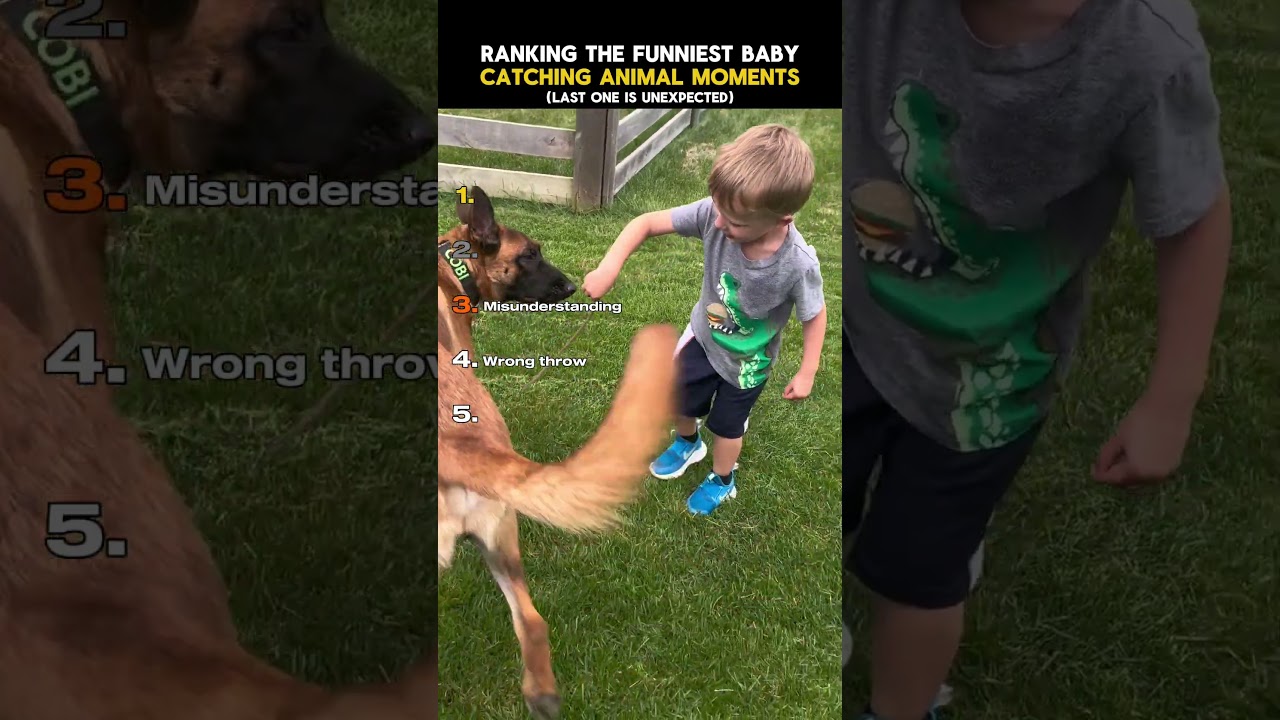 Ranking The Funniest Babies Catching Animals (part 3)