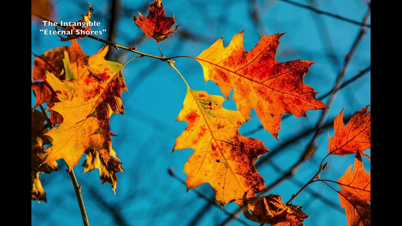 YouTube에서 The Intangible-"Eternal Shores" 보기 YouTube에서 The Intangible-"Eternal Shores" 보기