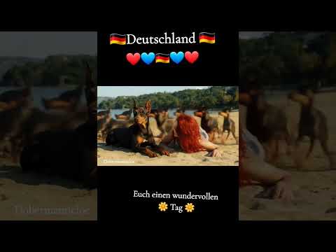Vollversion im Kanal 🇩🇪#music #sommer #sommerlied #2025 #Deutschland