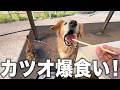 【高知】家族一緒に旅できて幸せすぎました・・・