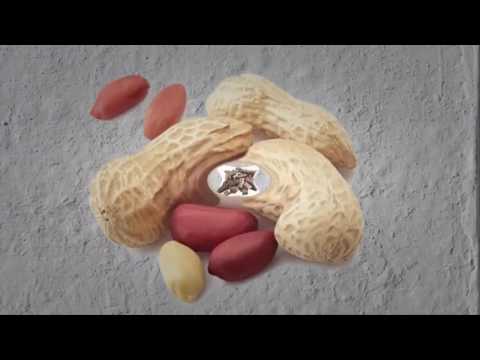 Cure Shingles | How To Get Rid Of Shingles Naturally - How To Cure Shingles fast