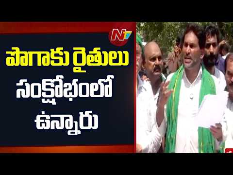 ఈ ప్రభుత్వం 12శాతం పొగాకు పంటను మాత్రమే కొనుగోలు చేసింది: YS Jagan | NTV Telugu - NTVTELUGU