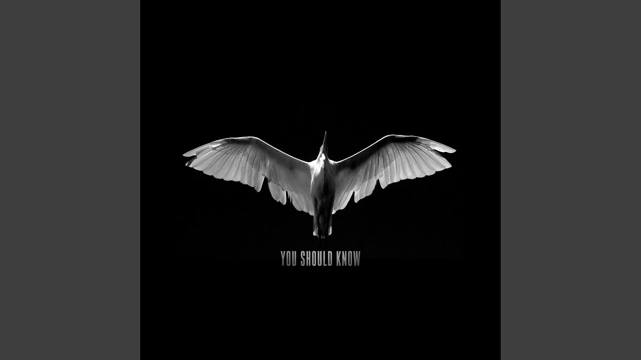 You Should Know (Radio Edit)