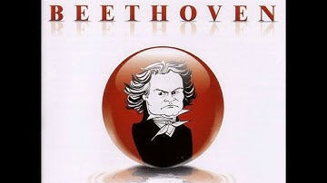 String Quartet No. 9 in C Major, Op. 59, No. 3, "Rasumovsky": IV. Allegro molto