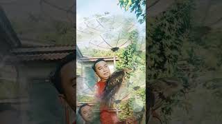 BURUNG ELANG DI PULAU BAWEAN GRESIK