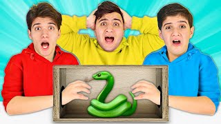 تحدي ماذا يوجد في الصندوق 😵🎁 والعقاب !! ❌ فأر 🐁 شرس داخل ملابسك 😱🔥