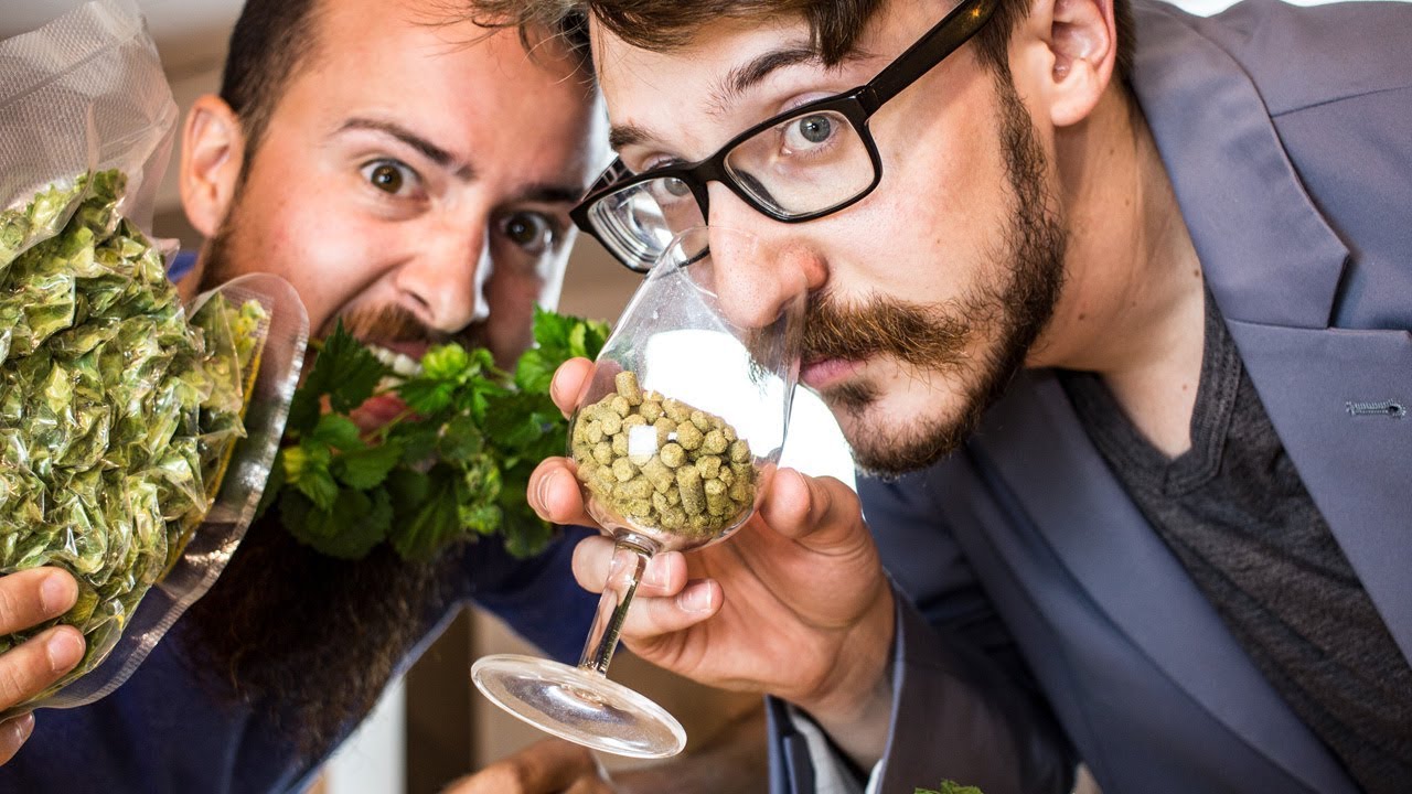 Floral, pamplemousse and spicey: what's a Cascade Hop?