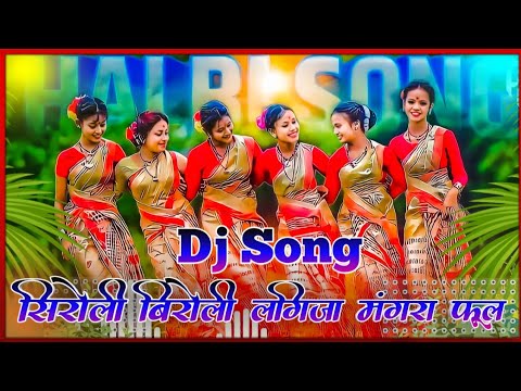 Halbi Dj Song        Bastariya New Halbi Dj Remix Video 2023