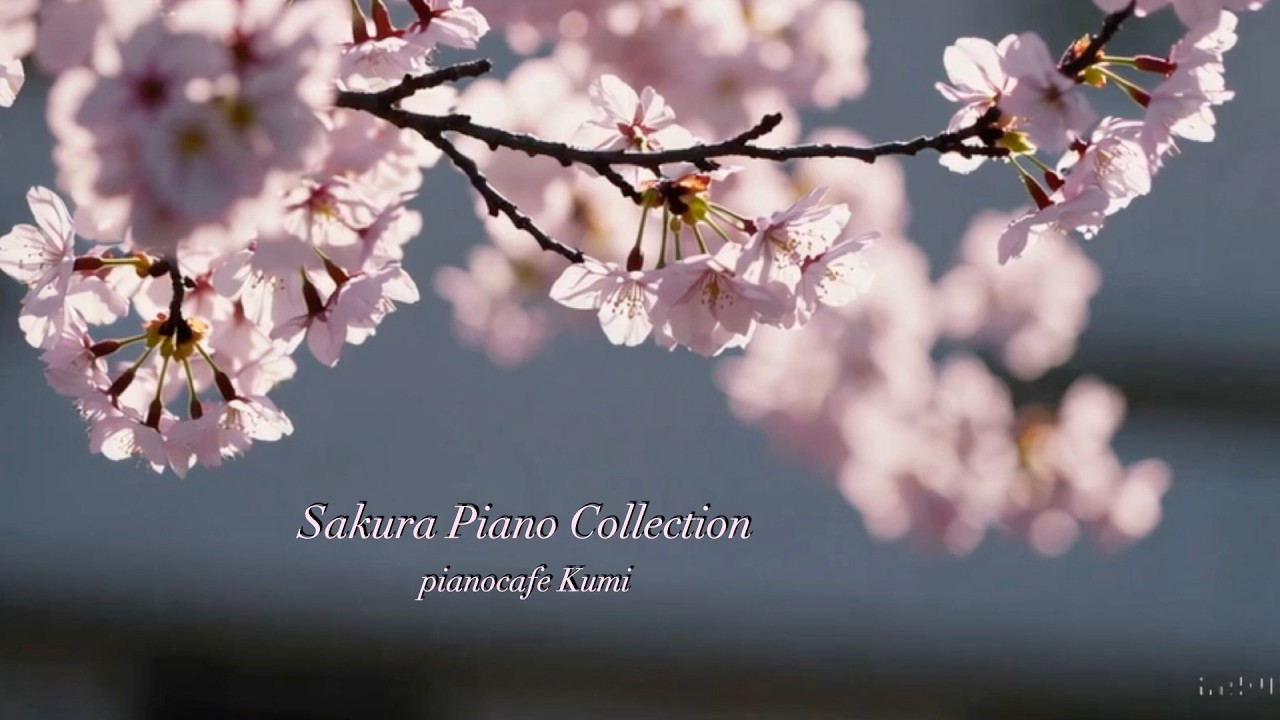 Sakura Piano Collection
