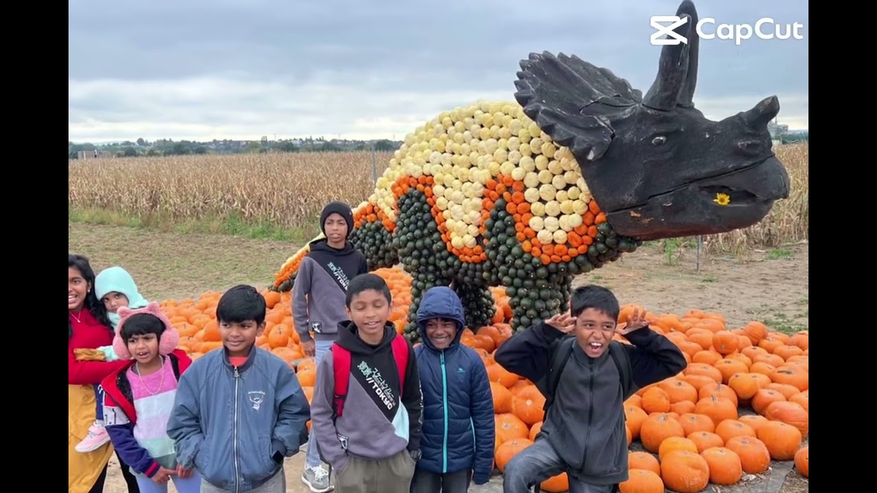 Little Stars in pumpkin park