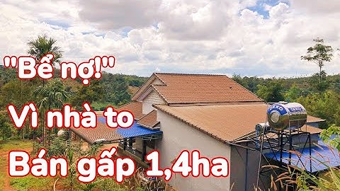 💥💥 Hot! Bán đất tặng nhà Thái, diện tích 1,4 ha + 200m thổ cư, 80m đường, 200m thổ cư, kín tiêu, cà