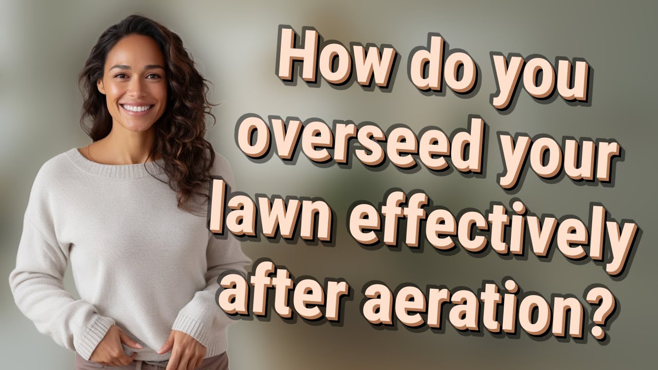 How do you overseed your lawn effectively after aeration? - YouTube