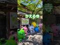 2026/04/8 小郡市かえる寺