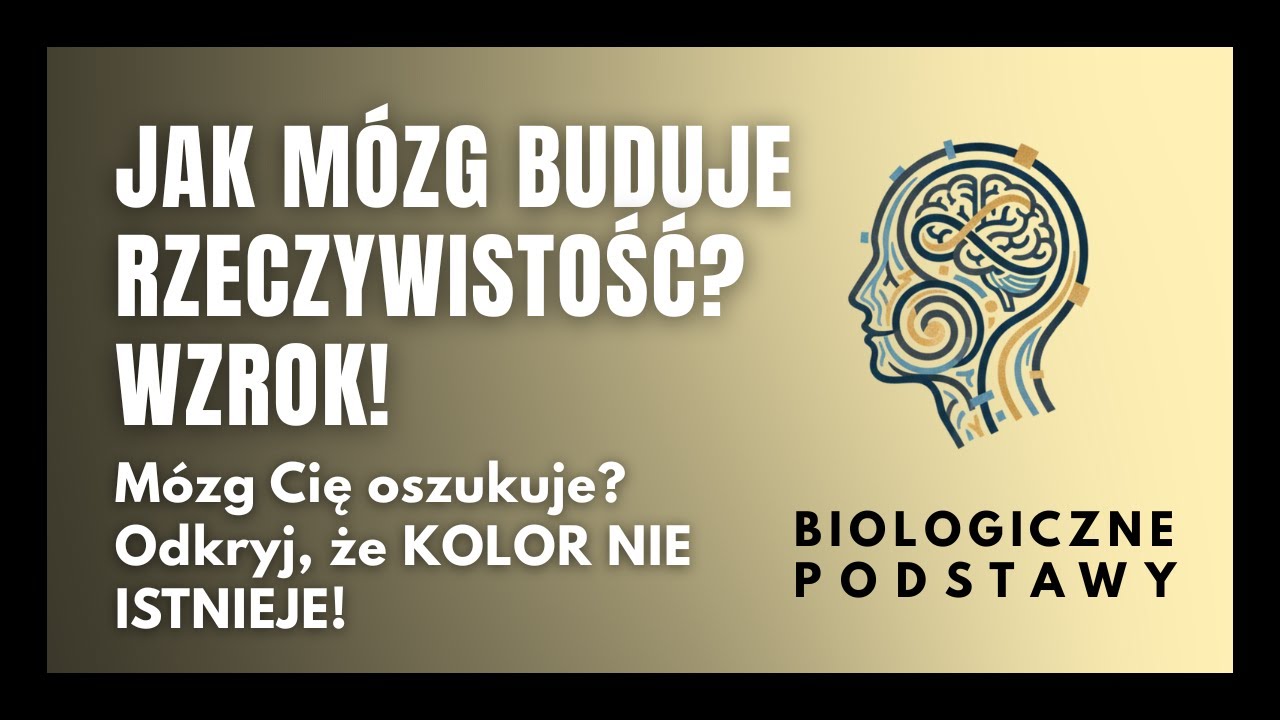 #39 Jak mózg buduje rzeczywistość? - Wzrok