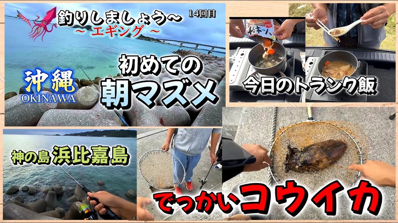 2025.12.26『 初めての朝マズメ・14回目 沖縄で釣り～エギング～ 』平安座漁港・浜比嘉島┃車中飯