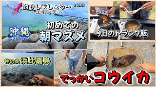 2025.12.26『 初めての朝マズメ・14回目 沖縄で釣り～エギング～ 』