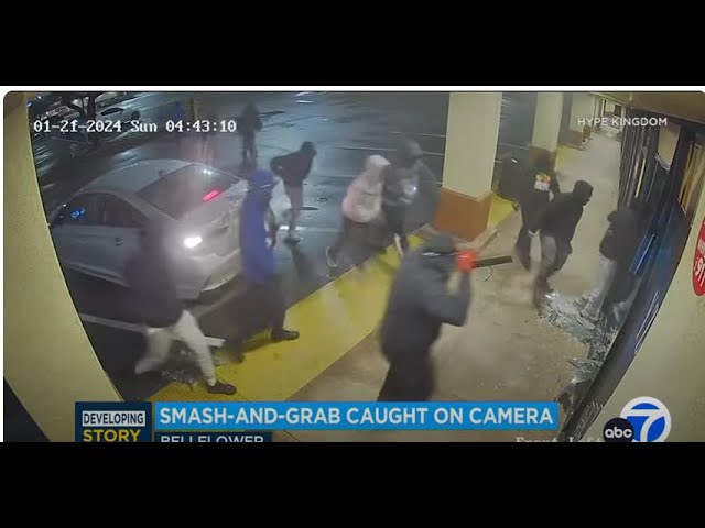 ⁣WILD: L.A. Thugs Ram Car INSIDE Of Store & Ransack The Place!