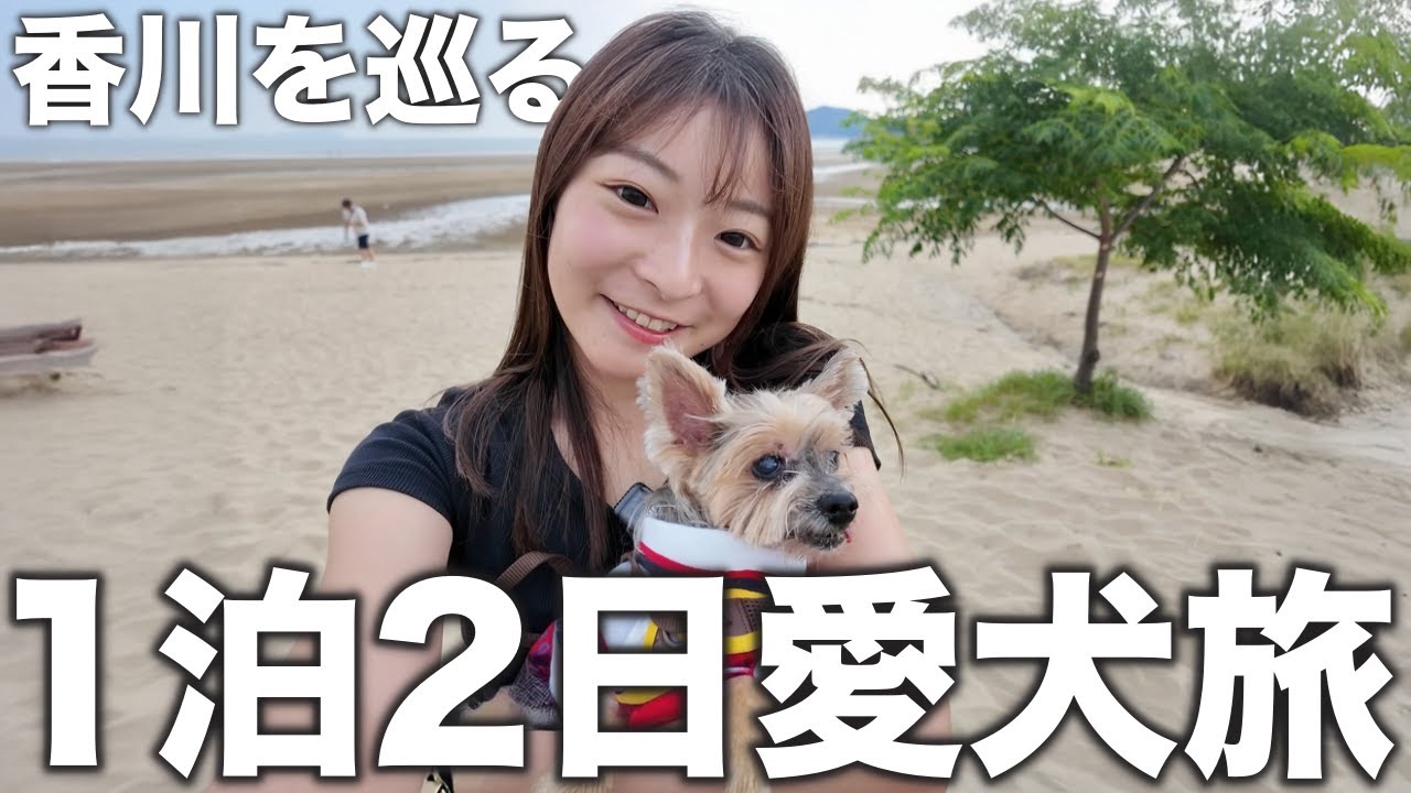 休日に愛犬と香川でドライブ旅したら超絶癒された。。