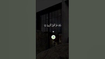 سورة الجاثية  " الآية 29 -- 31 "  🕋