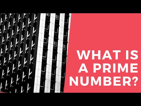 What is a Prime Number? | Prime Number | Tamil | Mathphobia