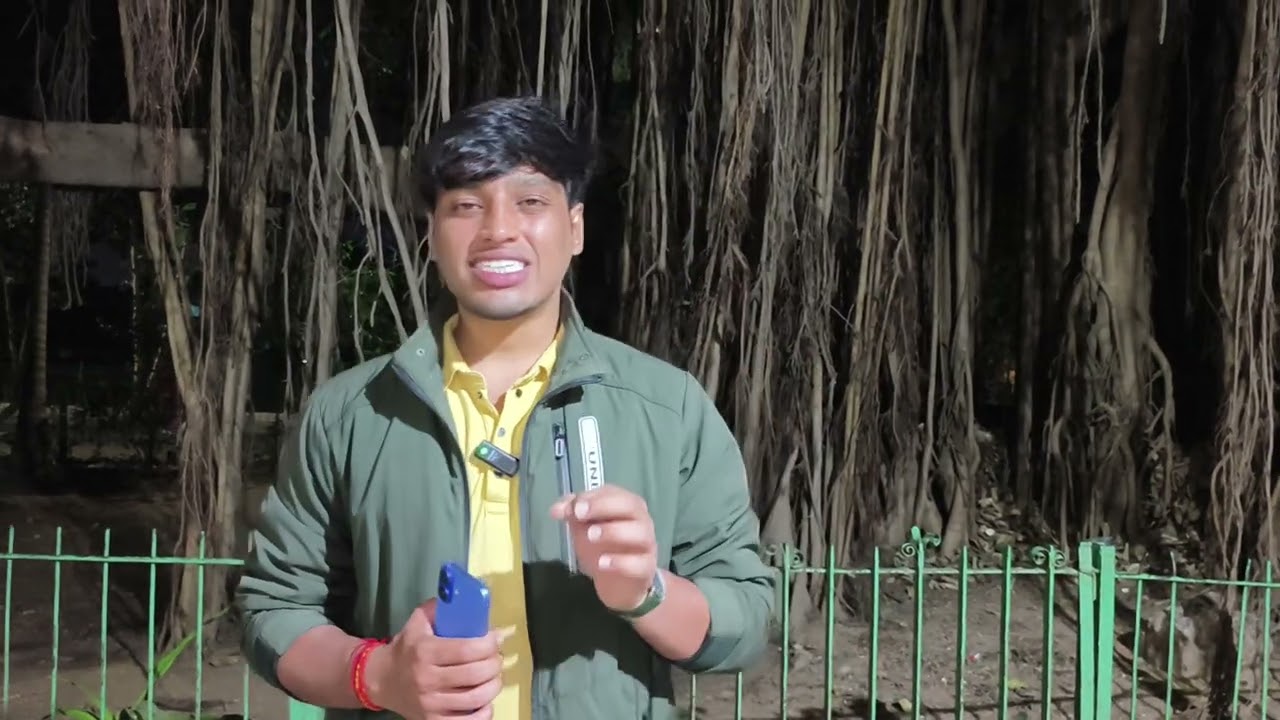 Detailed Information About The Internship For MSU Students 