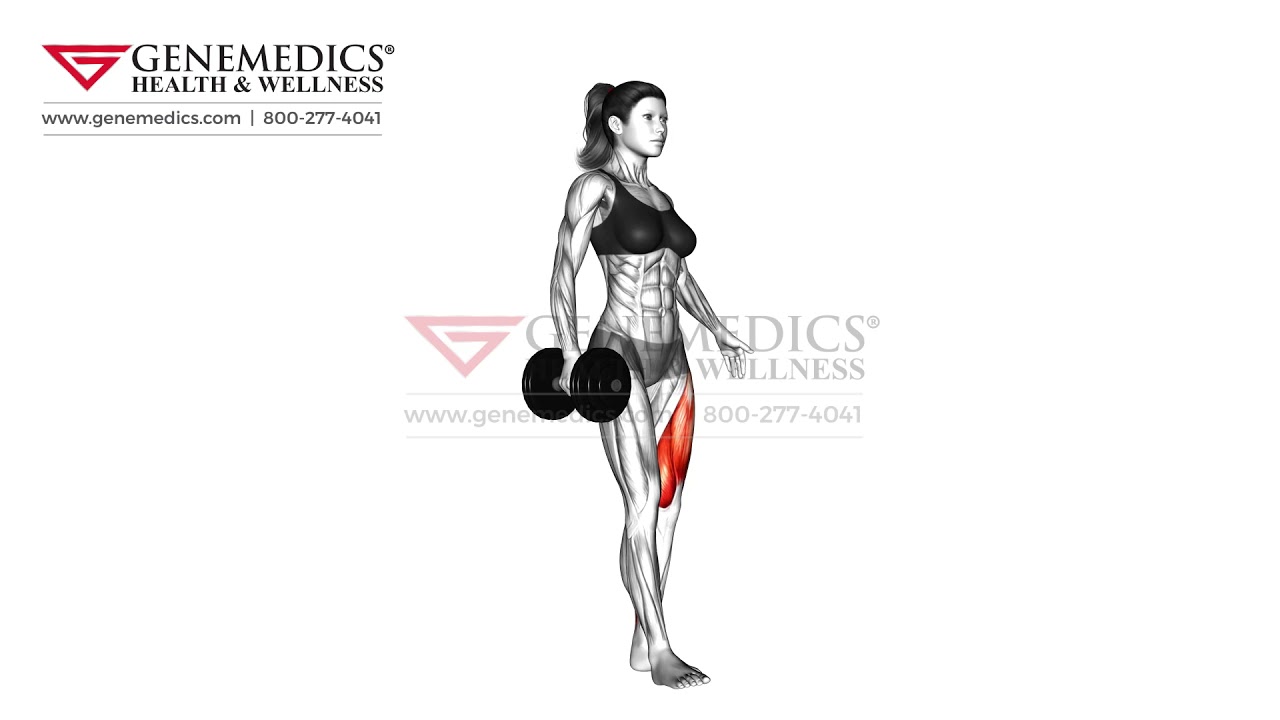Dumbbell Single Leg Squat female Thighs Exercise - YouTube