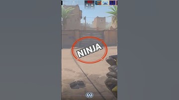 Ninja?! #csgo #cs2 #gaming #cs2clips #cs2clutch #counterstrike