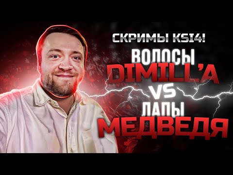 Видео: KSI СКРИМЫ ВОЛОСАТЫХ ЛАП (Dimill vs Medved)