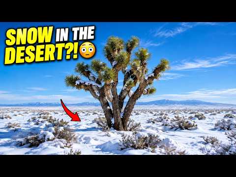 SNOW IN SAHARA DESERT?! 😳 How Does This Happen?  || Sahara desert