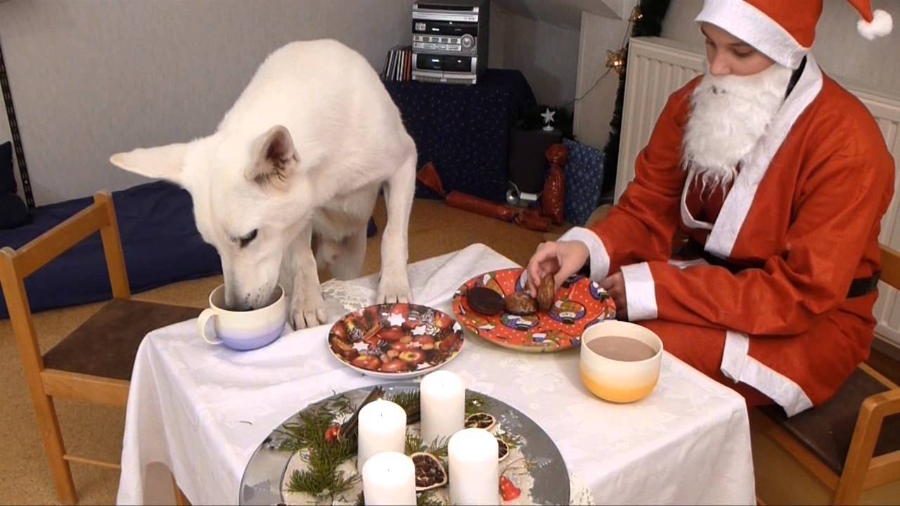 Sam s Advent Calendar 24th December YouTube sam-s-advent-calendar-24th-december-youtube