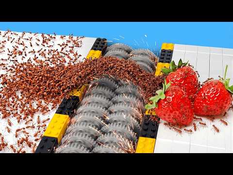 1,000 ANTS vs LEGO OBSTACLES...