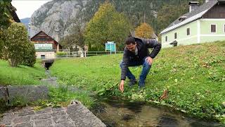 Hallstatt Österreich und Vienna